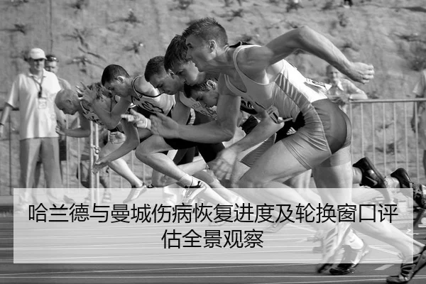 ha-lan-de-yu-man-cheng-shang-bing-hui-fu-jin-du-ji-lun-huan-chuang-kou-ping-gu-quan-jing-guan-cha-2-710.jpg