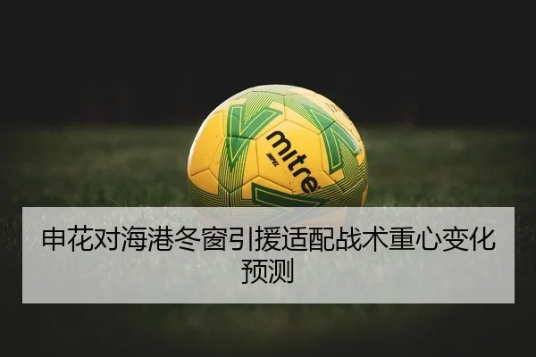 申花对海港冬窗引援适配战术重心变化预测